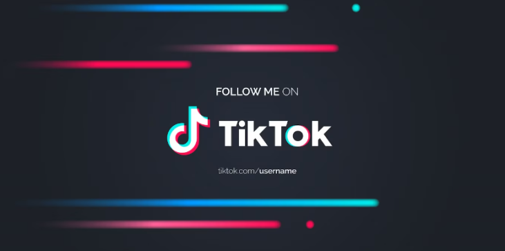 Gjenopprett TikTok-konto 1